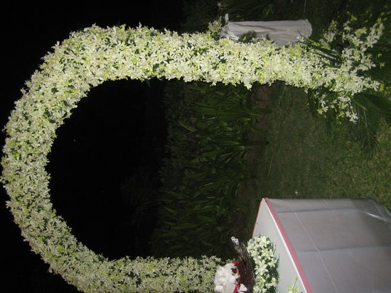 Ein Bogen voller weisser Orchideen