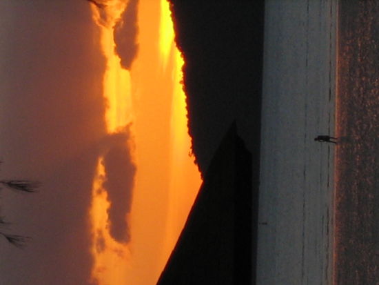 Sunset...............