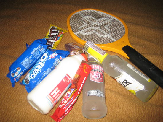 Picknick im Bett und Moskitoschlaeger!