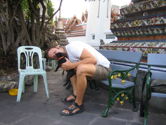 kleiner suesser Hund vor dem Wat Po