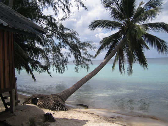 Aussicht von der Terasse