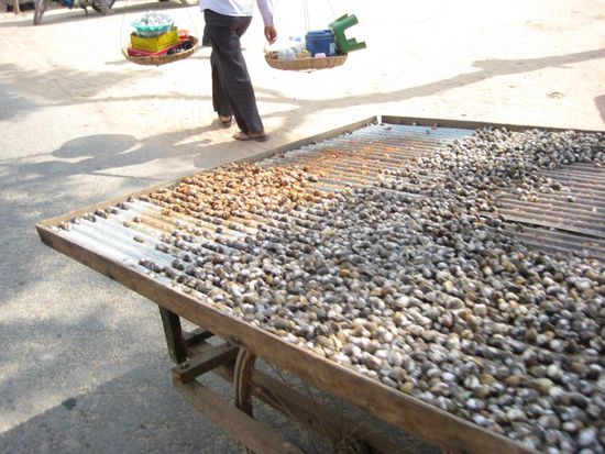 das wird hier gegessen.. sind Muscheln