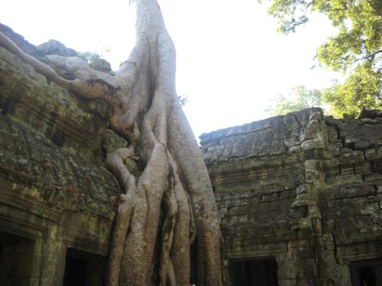 Ta Prohm