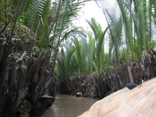 Im Mekong Delta