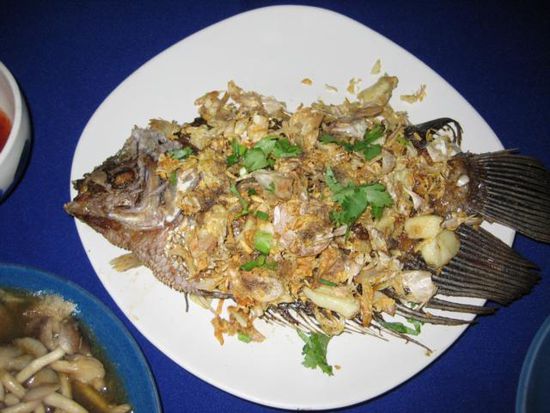 Melanies Fisch