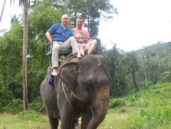 Elefant Riding