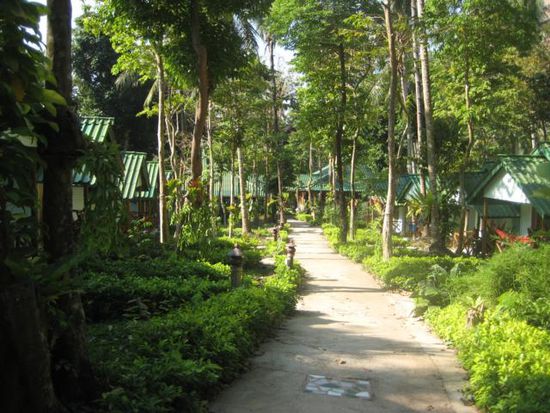 die Bungalowanlage am Ton Sai Beach