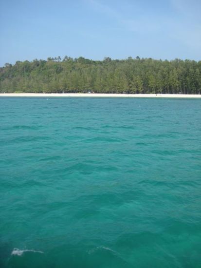 Bamboo Island