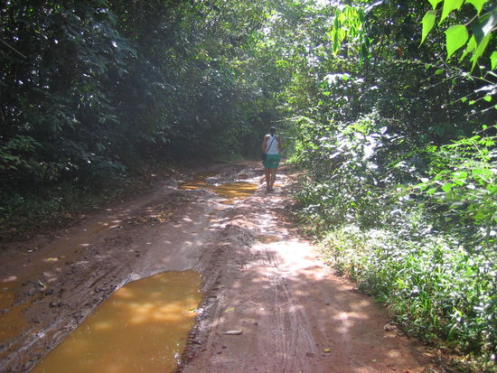 Dschungelpfad auf Koh Mak