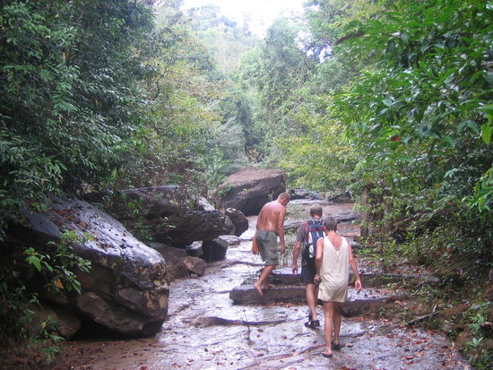 Koh Kood - Weg vom Klong zum Wasserfall