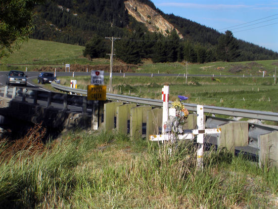 es gibt an Neuseeland's Strassen unzaehlige dieser Kreuze, dabei ist die Hoechstgeschwindigkeit doch gerade mal 100km/h...