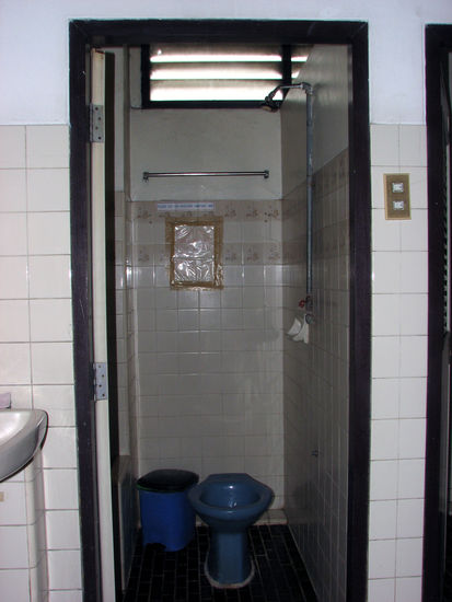 die Luxus Dusch- Toilettenkombi...hat den unglaublichen Vorteil, dass man sich bei seinem Geschaeft gleich noch die Haare waschen kann!