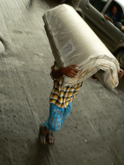 fleissige ameise in delhi