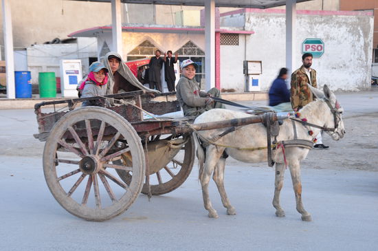 Eselkarren in Quetta