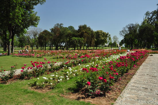 Der Rosengarten in Islamabad