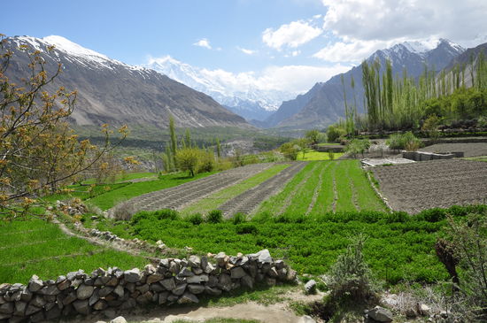 Karimabad, eine Wanderung durch die Obstgaerten