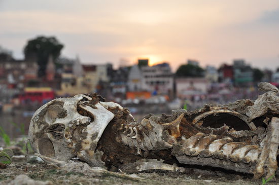 Varanasi, die andere Seite des Ganges