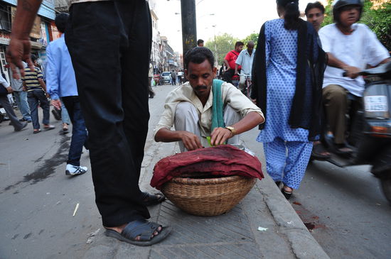 Tabak und Betelverkaeufer in Old Delhi