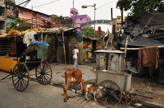 Kalkutta, West Bengalen/Indien