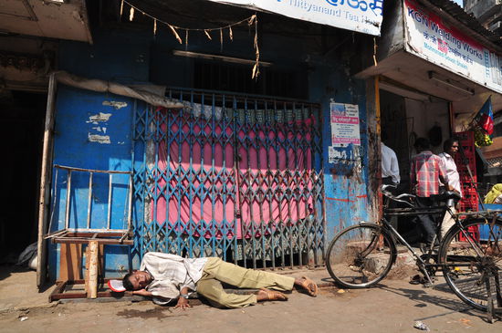 Nickerchen in der Sonne