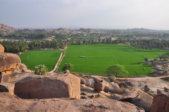 Blick auf die Reisefelder von Hampi