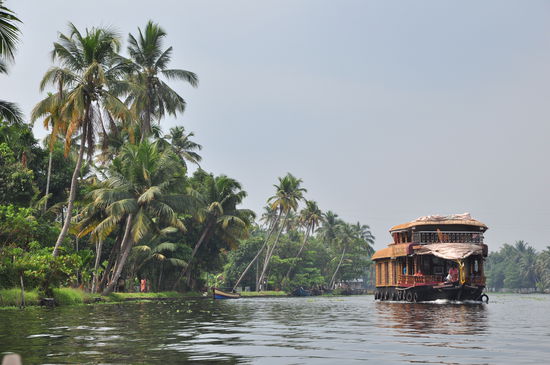 Backwaters bei Alleppi