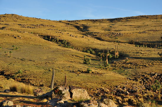 Nach einer bitterkalten Nacht in 3600 m Höhe geht die Sonne auf und verzaubert die Landschaft.