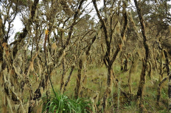 Aufstieg auf den Inyatye