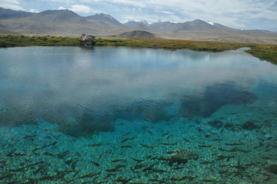 Der kleine blaue See bietet einen wunderschönen Kontrast zu den gründen Weiden und den hohen Gipfeln