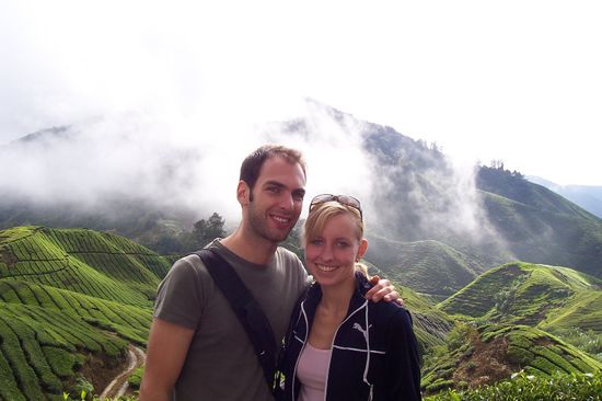 Teeplantagen in den Highlands