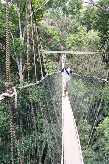 Auf dem Canopy walkway