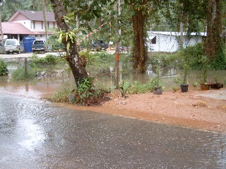 Neben der Strasse sowieso alles unter Wasser.