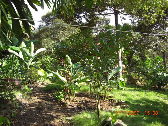 Der Garten von Ed