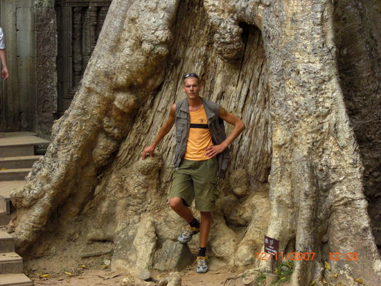 Dieser Baum (Spong) ist ca. 600 Jahre alt
