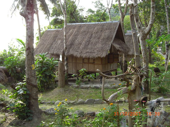 Ein Bungalow vom Tree-House-Resort am Long Beach