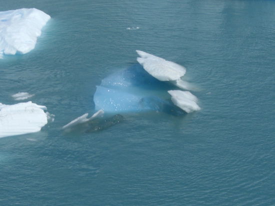 Abgebrochene Eisstücke, die schwimmen fast ne Ewigkeit im See. Das Eis hat eine sehr hohe Dichte.