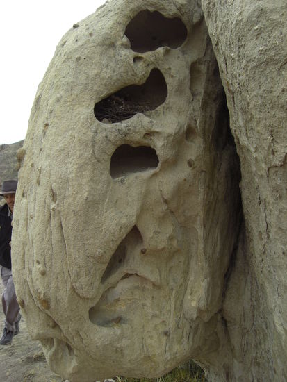 Ausgehöhlter Felsen mit einem Vogelnest - was sonst? 