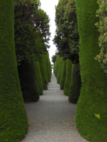 Auch auf diesem Friedhof. Diese Dichte dieser Bäume hat schon was........