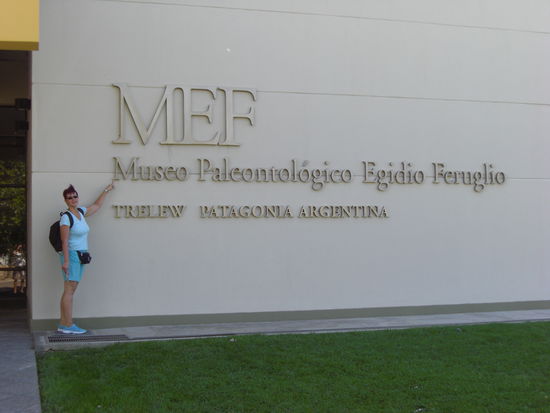 Die meisten der wichtigen fossilen Funde Patagoniens lassen sich hier bestaunen