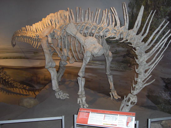 Amargasaurus
