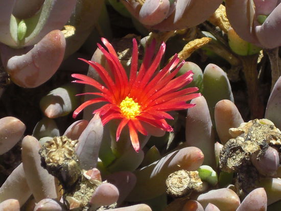 Für Mutter und Schwesterherz 