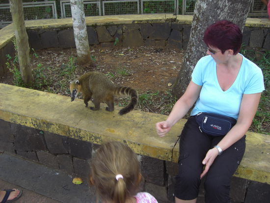 Ach spiel doch mit mir......