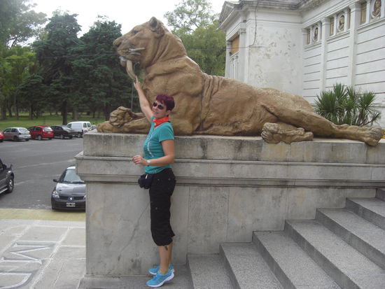 Raubkatze und Schmusekatze