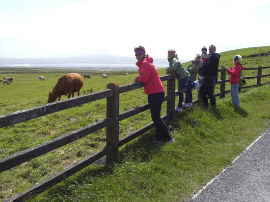 Wir mit unseren lieben Gastgebern.
Ich meinte jetzt nicht! die Kuehe.