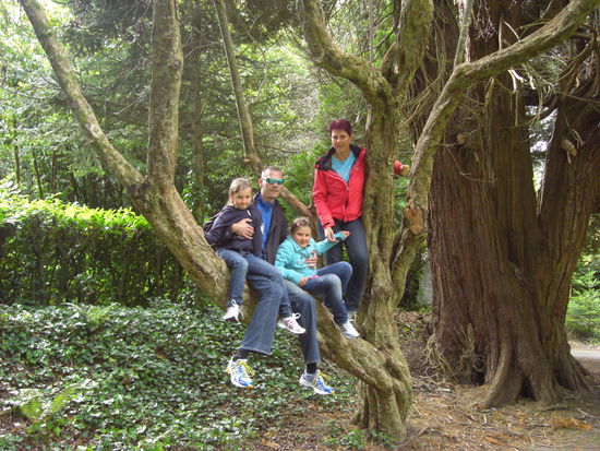 Jawohl, es blieb schoenes Wetter