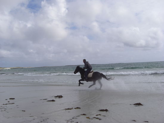 Da waeren wir gerne mitgeritten...