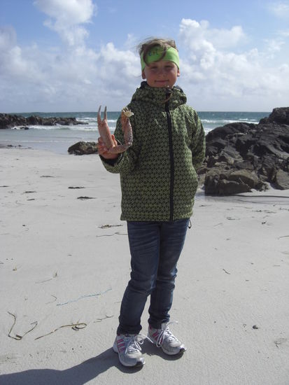 Was man so alles findet....