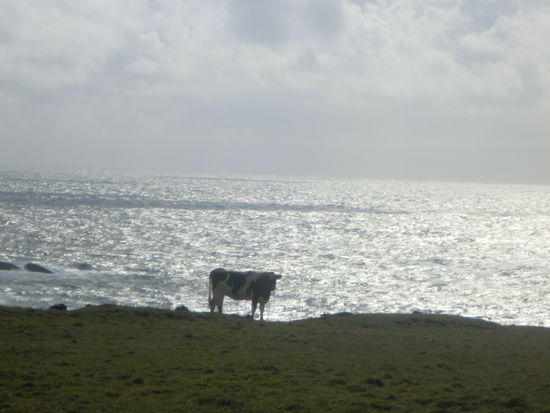 Da sind vermutlich schon einige abgestuerzt
