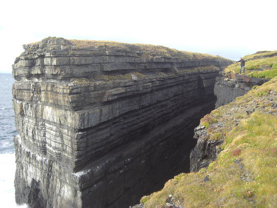 Na, wer entdeckt mich?