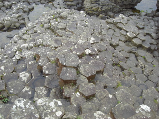 Was die Natur so alles parat hat, echt erstaunlich